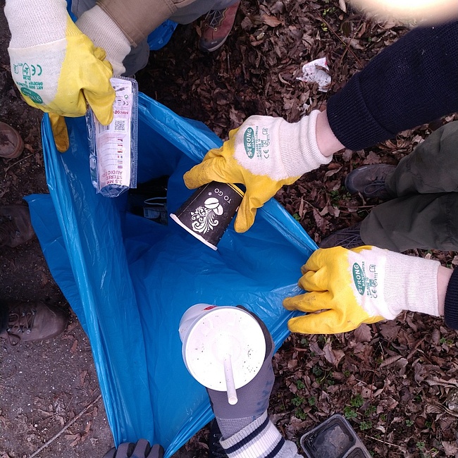 Fleißige Pfadfinderhände sammeln Müll in einen blauen Müllsack
